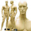 MN-159 Standing Masculine Male Mannequin with Base Fleshtone - DisplayImporter.com - 2