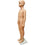 MN-244 Plastic Child Full Size Mannequin 4' 3.25" - DisplayImporter