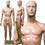 MN-245 Plastic Male Full Size Mannequin with Removable Abstract Head - DisplayImporter