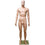 MN-245 Plastic Male Full Size Mannequin with Removable Abstract Head - DisplayImporter