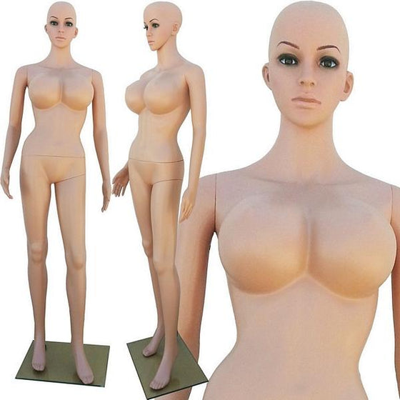 MN-250 Plastic Busty Ladies Full Size Mannequin - DisplayImporter