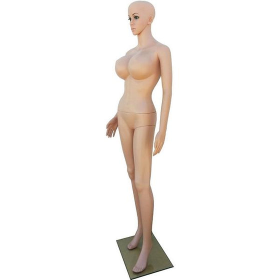 MN-250 Plastic Busty Ladies Full Size Mannequin - DisplayImporter