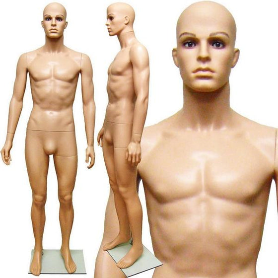 MN-251A Plastic Realistic Head Male Full Size Mannequin with Removable Head - DisplayImporter