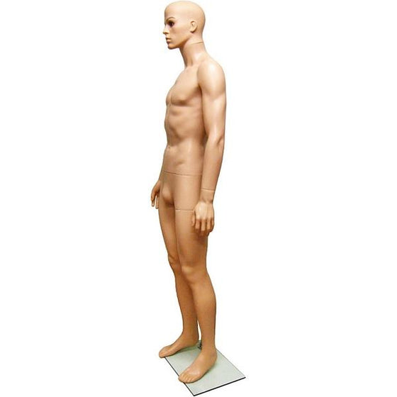 MN-251A Plastic Realistic Head Male Full Size Mannequin with Removable Head - DisplayImporter