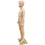 MN-252 Plastic Unisex Child Full Size Mannequin 4' 3.25" - DisplayImporter