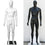 MN-439 Glossy Plastic Egghead Male Full Size Mannequin with Removable Head - DisplayImporter