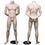 MN-084 Full Size Masculine Headless Male Mannequin Fleshtone - DisplayImporter.com - 2