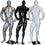 MN-181 Glossy Muscle Bodybuilder Mannequin in Tone & Flex Pose  - DisplayImporter.com - 1