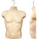 MN-187 Male T-Shirt Heavy Duty Injection Mold Form with Metal Swivel Hook - DisplayImporter