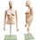 MN-246 Plastic Half Body Female Upper Torso Countertop Form with Removable Head Fleshtone - DisplayImporter.com - 2