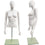 MN-246 Plastic Half Body Female Upper Torso Countertop Form with Removable Head White - DisplayImporter.com - 3